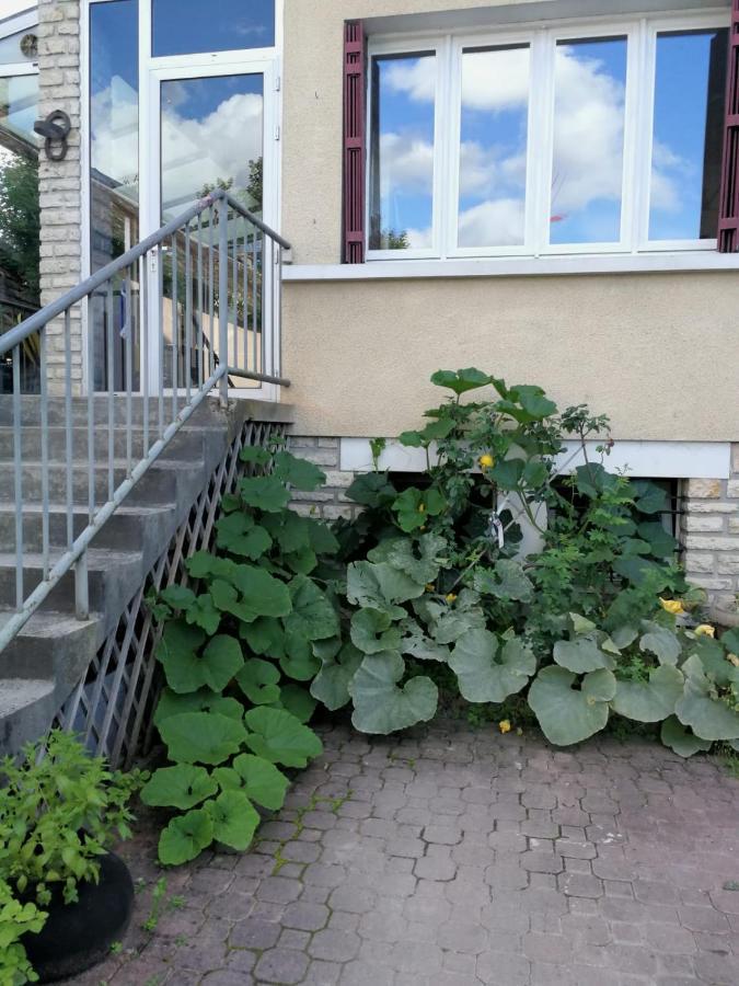 Un Verger Dans La Ville Saint-Parres-aux-Tertres Eksteriør bilde