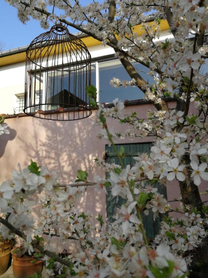 Un Verger Dans La Ville Saint-Parres-aux-Tertres Eksteriør bilde