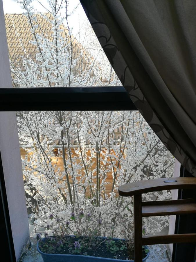 Un Verger Dans La Ville Saint-Parres-aux-Tertres Eksteriør bilde